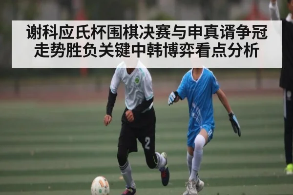 谢科应氏杯围棋决赛与申真谞争冠走势胜负关键中韩博弈看点分析